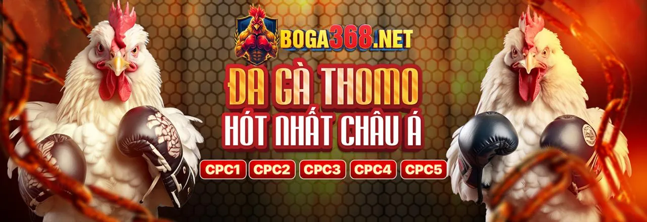Đá gà trực tuyến i888 với những trận đấu kịch tính