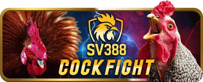 Cá cược tennis i888